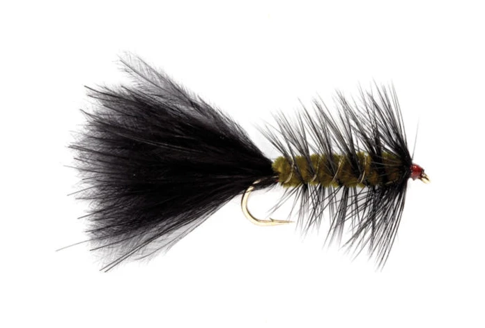 Woolly Bugger