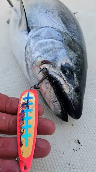 Poisson sur une surface de bateau avec une cuillère colorée