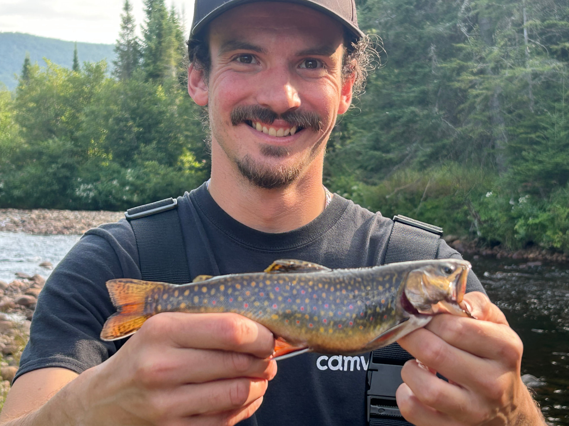 Gros plan d'une truite mouchetée sauvage aux points rouges et bleus, prise en rivière dans les Laurentides