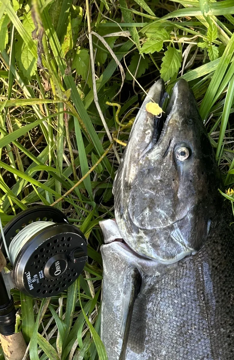 Poisson à côté d’un moulinet à mouche et d’une mouche jaune
