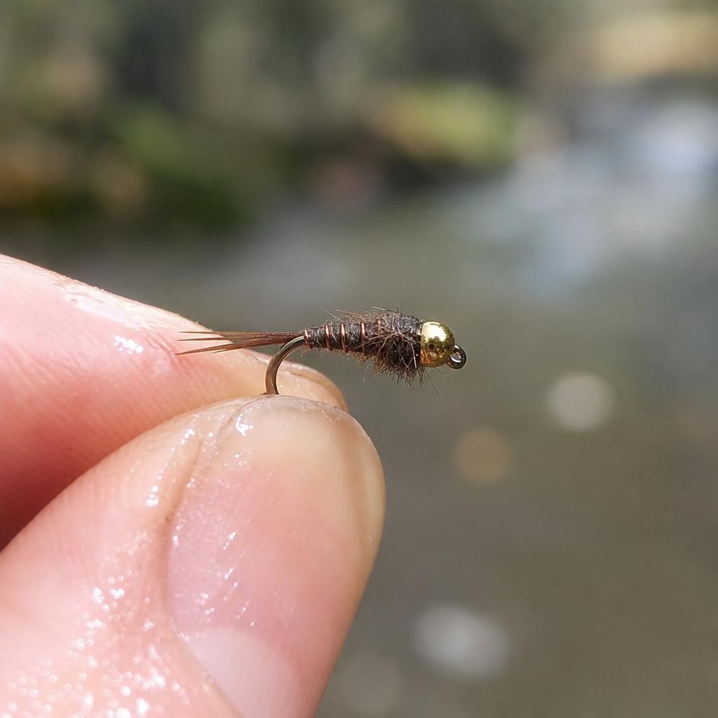 Nymphe à bille dorée pour la pêche de la truite