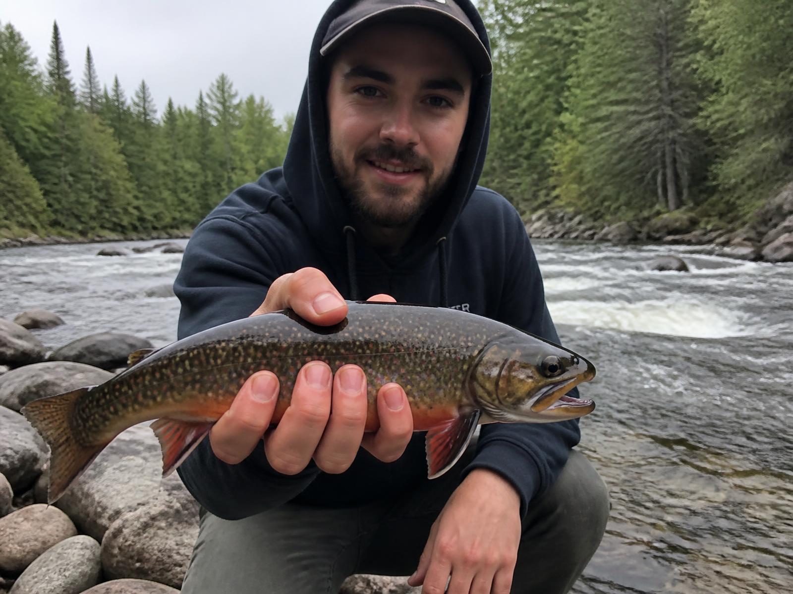 Pêcheur accroupi sur la berge d'une rivière du Québec présentant une truite mouchetée sauvage aux points rouges